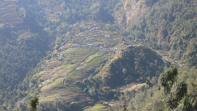 チョモロンの棚田。<br />Sinuwa出発後30分程度のところより。<br />チョモロンへはグンと下がって川を渡り段差の大きい石の急階段を上る。<br />ここは日差しもきつく暑かった。<br />