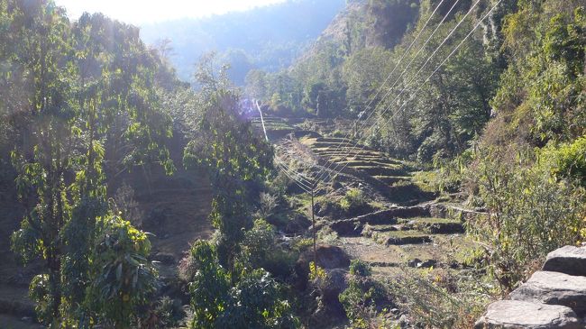 電線が低く子供の事故もあるのだとか。<br />