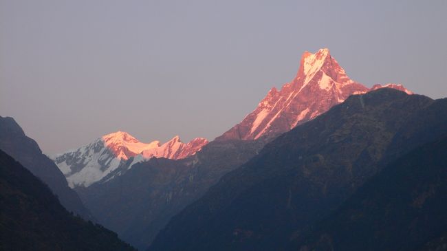 チョモロンの夕焼けに染まるアンナプルナ?とマチャプチャレ(17:29)。<br />
