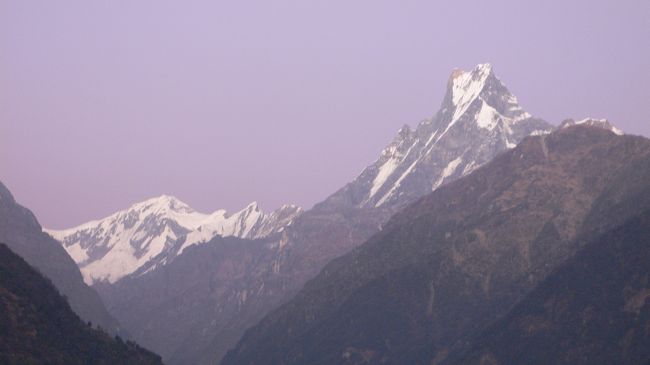 チョモロンの夕闇迫るアンナプルナ?とマチャプチャレ。