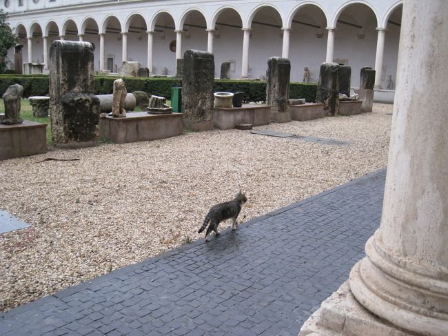 猫も住みついてます