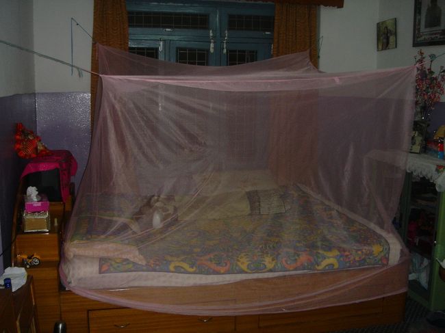 私達が使わせていただいた部屋