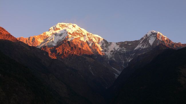 チョモロンにて朝焼けに染まるアンナプルナ・サウスとヒウンチュリ。<br />