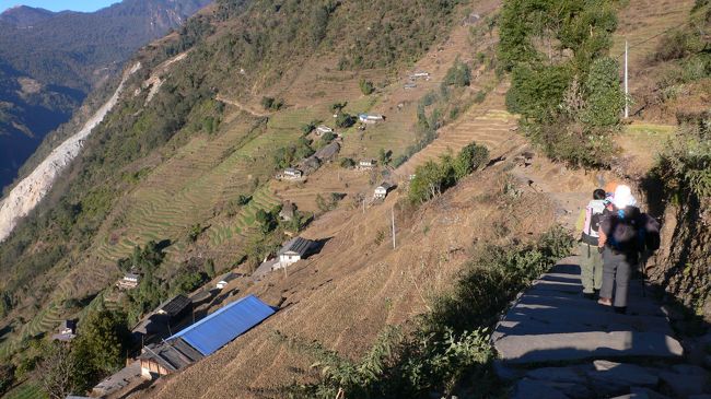 チョモロン（2170m)からTadapani（タダパニ・2630m)に向かって歩く。<br />この道は比較的マイナートレイルだったのかトレッカーとはあまり出会わなかった。<br />