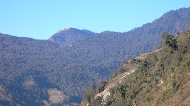 このトレイルの先にある山の中に今日の目的地であるTadapani（タダパニ・2630m)が見えた。<br />今日のトレイルは午後から日差しを避けられた樹林歩きで涼しくて快適だった。<br />