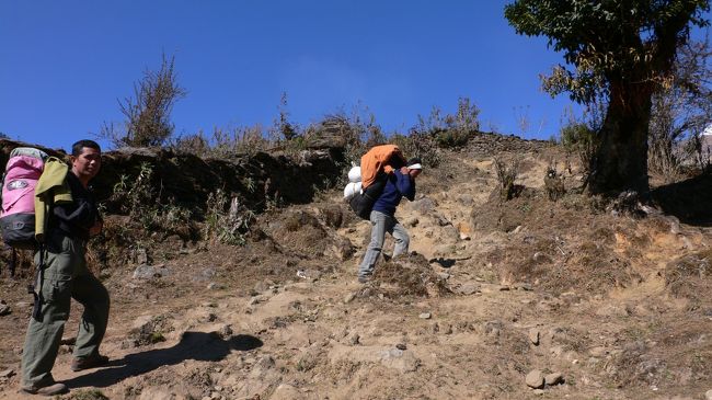 Chuile(2170m)を出発し、ここからずっと樹林の中に入り<br />Tadapani(タダパニ・2630m）へ至る。<br />中央はポーターのパサンさん左端はガイドのサンタ・マンさん。<br />