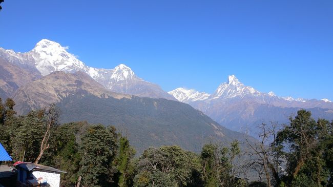 Tadapani(タダパニ・2630m）から見えた、アンナプルナ・サウス、ヒウンチュリ、アンナプルナ?、マチャプチャレ。<br />