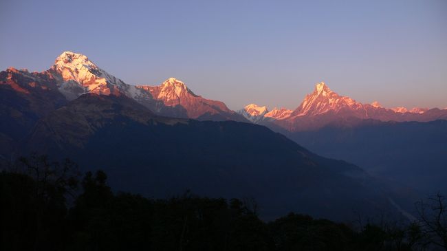 Tadapani(タダパニ・2630m）から見えた、夕焼けに染まるアンナプルナ・サウス、ヒウンチュリ、アンナプルナ?、マチャプチャレ(17:26)。<br />