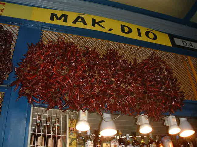 パプリカ大国☆