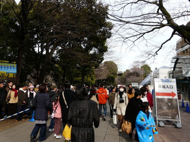 昼食を終えて戻ってくると、ナスカ展は大混雑　<br />入場制限で長蛇の列が出来ていました