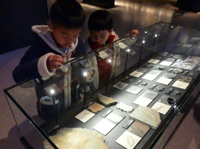 本物の持つ迫力が伝わってくるようで、子供達も真剣に見入っています