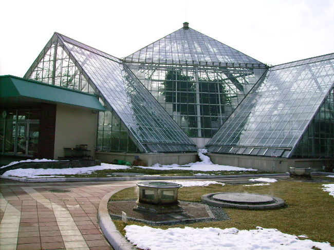 いい湯だな おサルさんの温泉がある 函館市営熱帯植物園 湯の川温泉 北海道 の旅行記 ブログ By Guavalomilomiさん フォートラベル