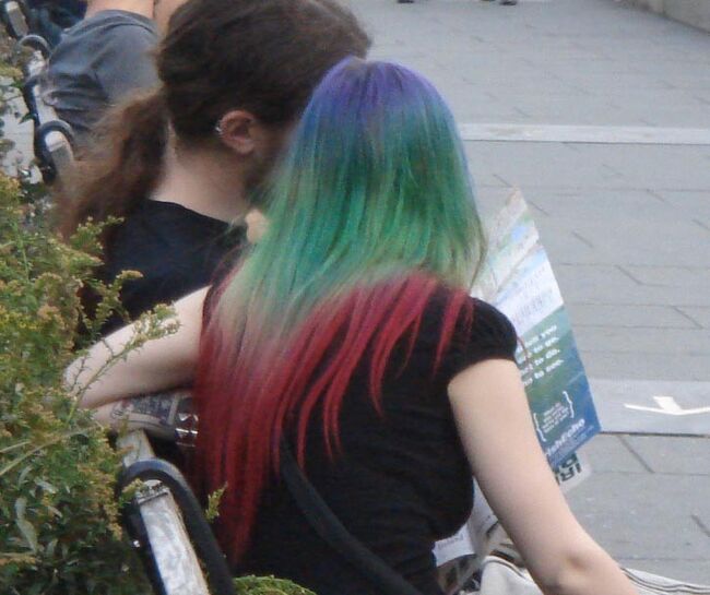 　七色の髪の乙女？<br /><br />　新鮮な感動！　ただし、一緒に歩くには勇気が要ると思う