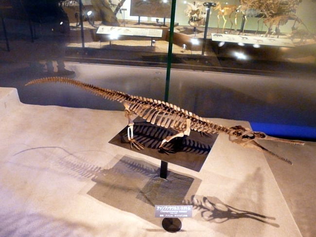 チャンプソサウルス・ネタトルは北アメリカの淡水に生息していた爬虫類です