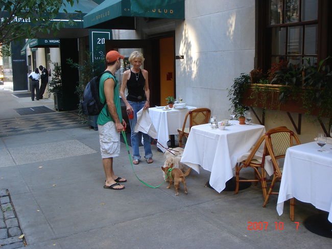 　スター・シェフ、ダニエル・ブルーのセカンド店「カフェ・ブルー」。<br /><br />　イヌ連れのご婦人はテラスでお食事中。通りがかりのお知り合い、イヌ連れ兄（あん）ちゃんと立ち話。