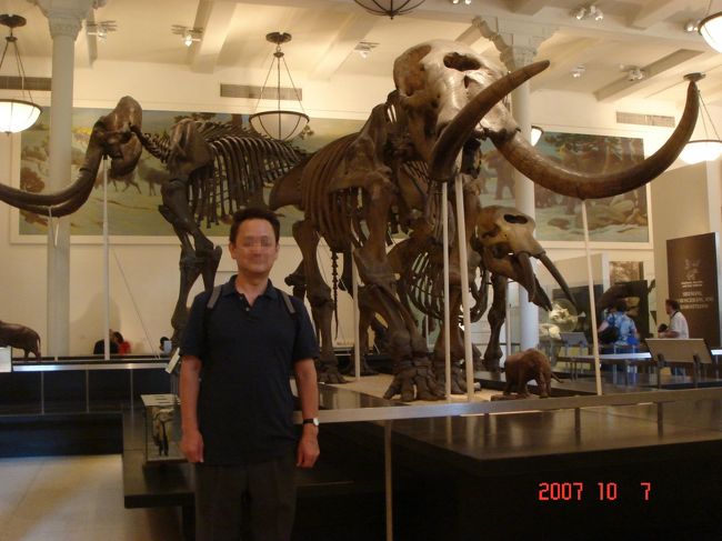 　恐竜の前では伯爵も可愛く見えます(^_^;)