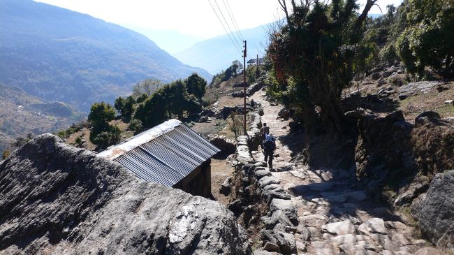 日当たりの良い石畳の階段をひたすら下る。<br />