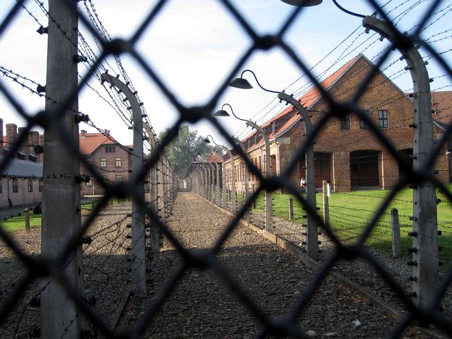 当時は高圧電流が流されていた、有刺鉄線。