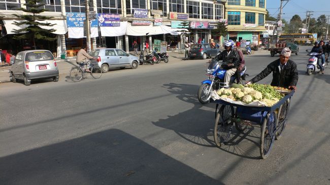 いろいろな屋台を押して売り歩く。<br />