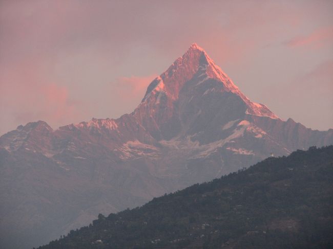 ホテルのベランダから見えた朝焼けに燃えるマチャプチャレ(6:57)。<br />
