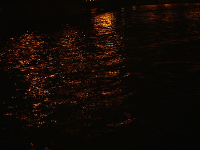 川面に反射する光までもが美しい。<br /><br />ハンガリーの美しい夜景をもっと伝えられたらいいんですが、いかんせん写真があまり良くないので、悔しいです。<br />本当に夜景はめちゃくちゃきれいです。<br /><br />次回は、くさり橋から王宮へと行く写真です。