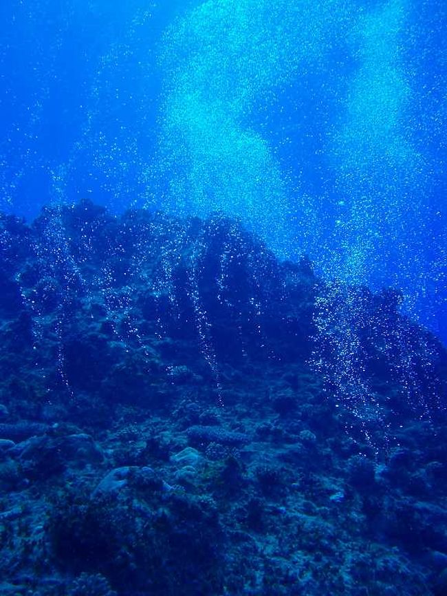 ３日目。<br />午前、テニアングロット・ダンプコープ。<br />午後、オブジャン。<br /><br />岩下の空洞からの空気が漏れて、<br />泡泡、しゅわしゅわときれいに昇っていく