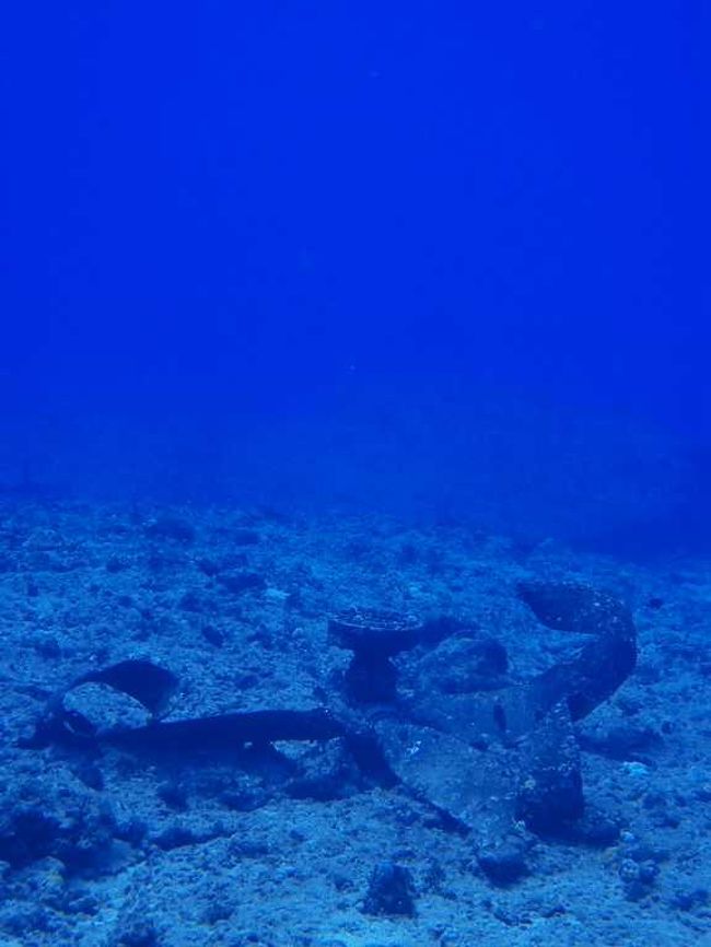 戦争で廃棄された、戦闘機のプロペラ