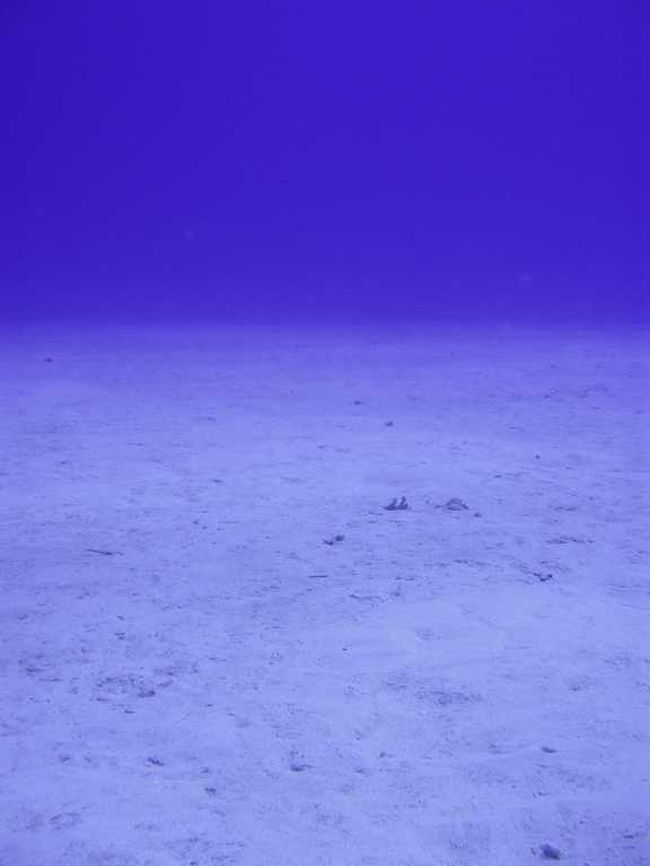 真っ白い砂浜が永遠に広がっている。<br />静寂の中で、ふわふわ浮いていると、<br />とっても気持ちよい〜