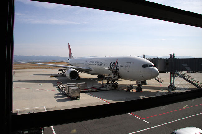 2/29(金)　<br /><br />14:35　関西国際空港から沖縄に飛びました<br />久しぶりの飛行機でついつい時間ぎりぎりまで見入ってしまいました<br /><br />しかしこの後とってもブルーな出来事が…<br /><br /><br />レンタカー会社の手違いで<br />受付を済ませてから30分間放置され‥<br />スタッフが忙しいのかなとか色々プラス思考で考えたのですが<br />どうにも辛抱できなくなり受付に戻って言うと<br />とたんに騒がしくなり　慌てて配車されてきました。<br /><br />傷のチェック以外ナビも何も説明ナシ‥！<br /><br />先行き不安になりました<br /><br />飛行機の遅れもあり、予定より1時間以上も遅れてホテル着<br />お宿は残波岬ロイヤルホテルです<br />