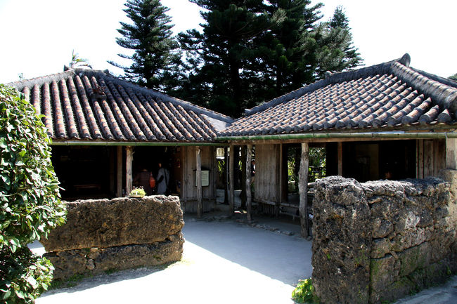 琉球村にも寄りました<br /><br />あまり時間が無くてサラッと見ただけでしたが<br />民家の中で三線を体験していたり踊りを踊っていたり<br />サーターアンダギーを軒先でいただいたり<br />駆け足で満喫しました