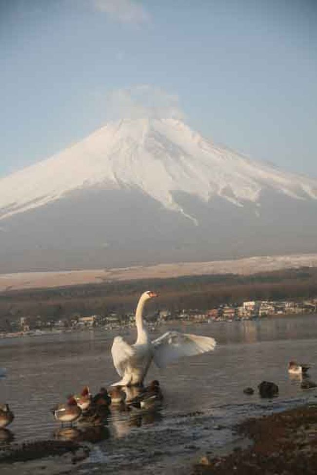 続けてシャッターを押しまくりました。