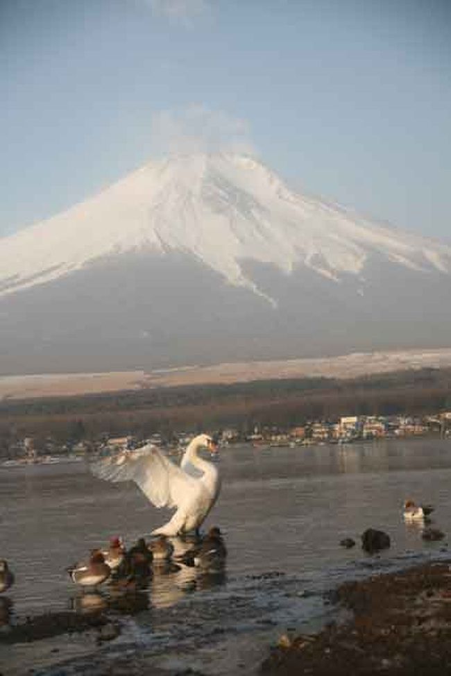 運が良かったです。私が構えたときでした。