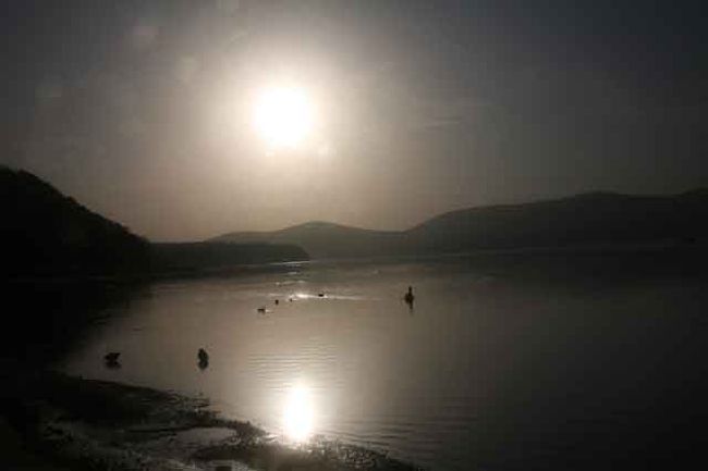 太陽はかなり上がってきました。