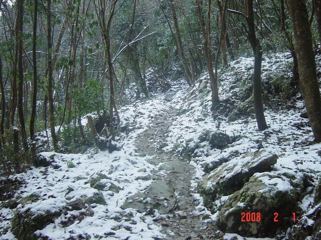 標高が上がるにつれ積雪が。何度も滑ってこけました