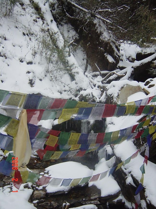 トレッキングルートで見つけたタルチョ