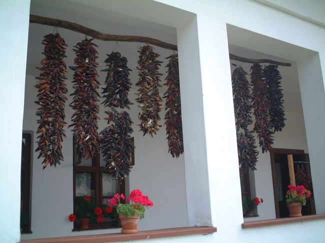 ハンガリーの建国記念日。<br />お店も大学も町全体が休み。<br />エクスカーションで、オープスタ国立記念公園に行きました。<br />ハンガリーといえば、パプリカ！！