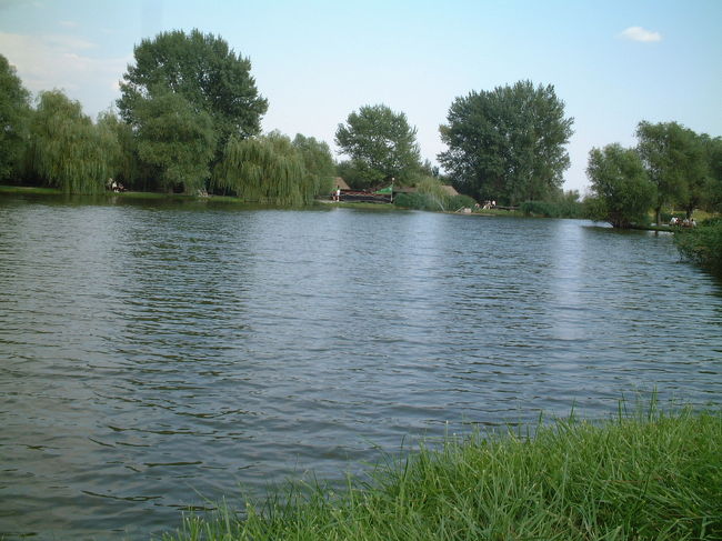 自然と緑がいっぱい。