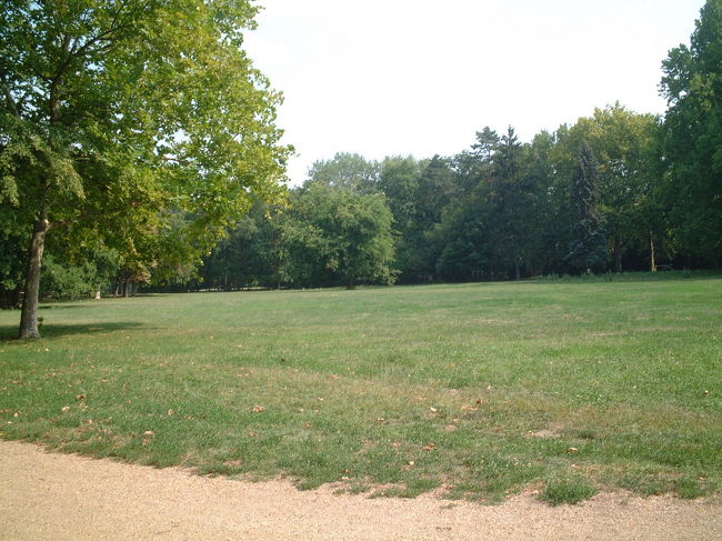 緑がいっぱい。<br />スニッカーズとファンタオレンジも持って行ったよ。