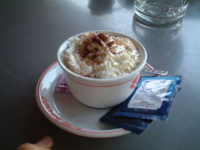 これは、南駅（デーリ・パーヤウドバール）です。<br />ウィーンへ向かうICの出発時間がまだなので、<br />南駅の中にあるカフェで一休み。<br />カプチーノを頼みました。<br />このカフェでスカンジナビア人のおじいさんと話しました。<br />爆笑トークでした。笑えません。