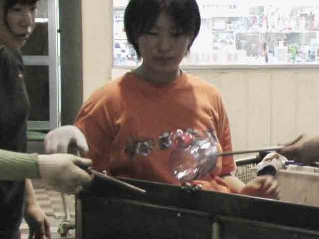 （080306木、朝追加）