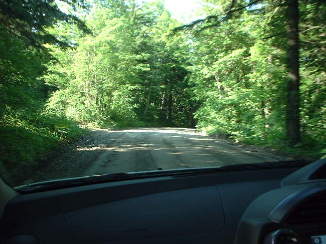県道ならぬ道道、オフロードでした。