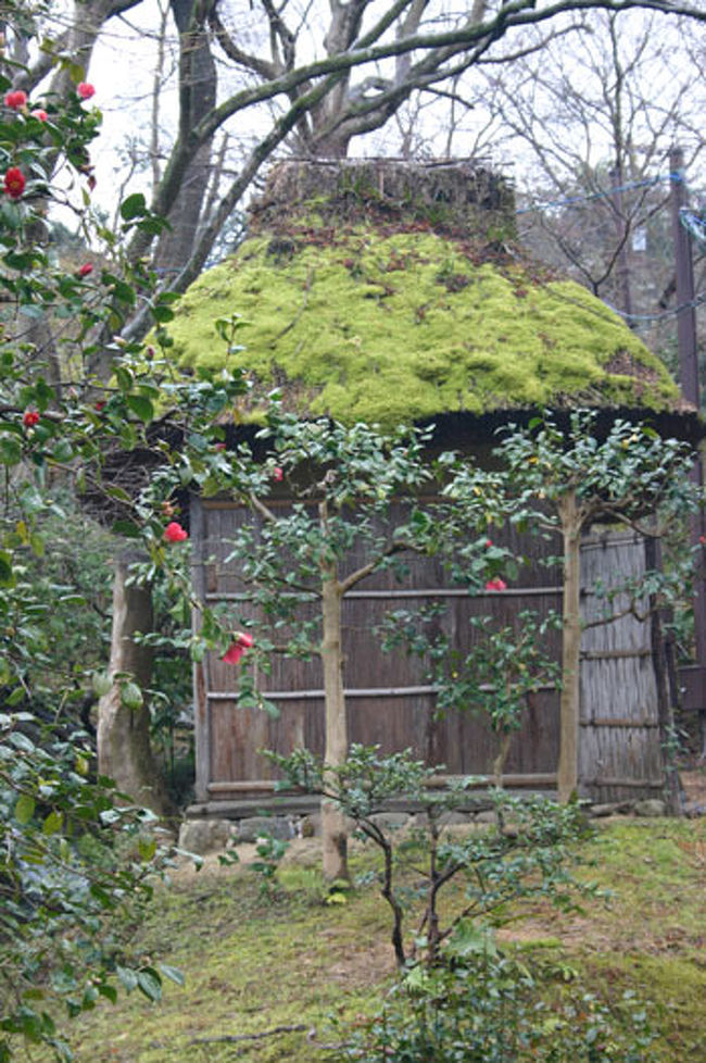 本能寺 何有荘 東寺 京都 ３日目 京都の旅行記 ブログ By めぐみ さん フォートラベル