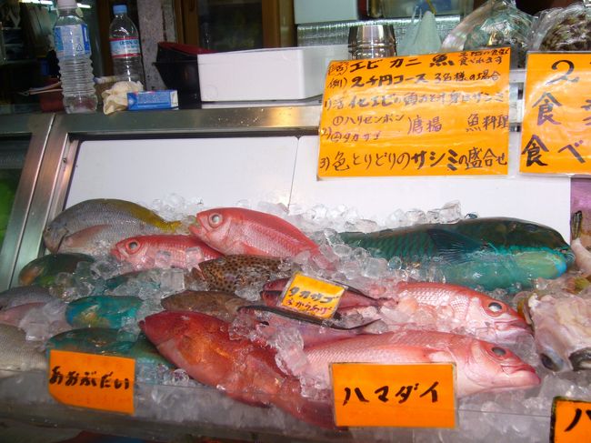 原色系の魚がわりと目立ちます。<br />