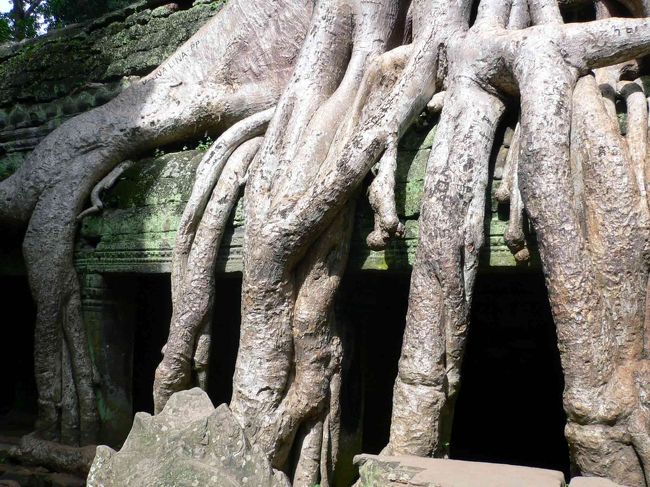 タ・プローム(1)。