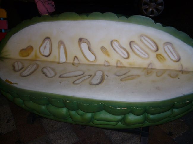 帰りに見た、ゴーヤのベンチ。