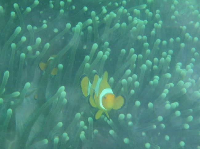 S君の一生懸命撮ってくれた写真!!<br /><br />ありがとう！！　