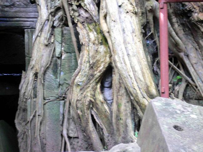 タ・プローム(4)。根の中に仏像。