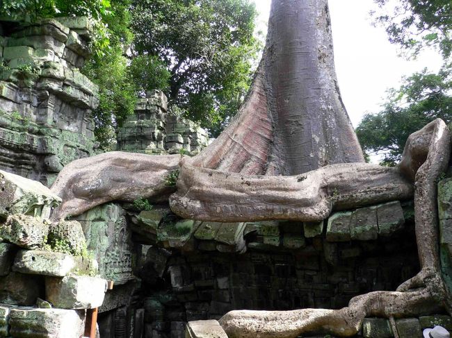 タ・プローム(5)。