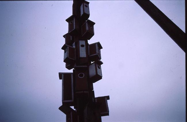 シベリウス公園近くの湖畔。<br /><br />夏場はこの巣箱もたくさんの鳥たちでにぎわうのでしょう。