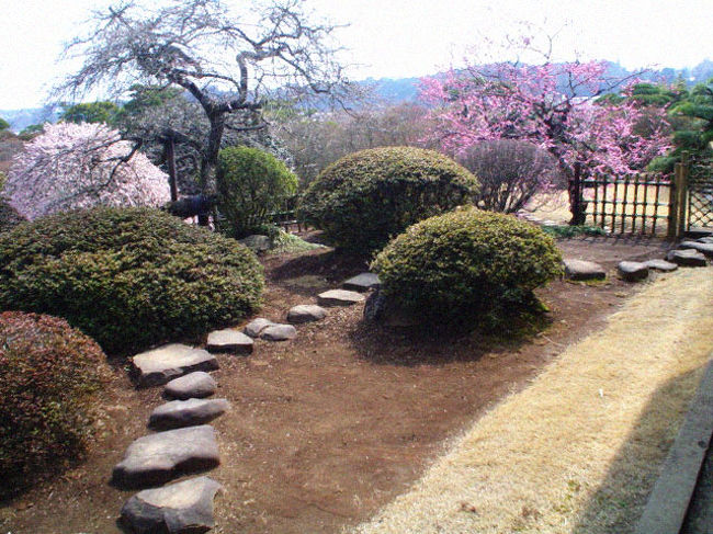 偕楽園内の好文亭の写真です。<br /><br />この好文亭が趣きあってとても素敵でした・・・。<br />さすが、水戸藩主が自ら造園計画の構想をして創設しただけのことはあります。